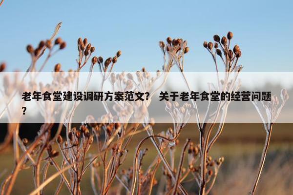 老年食堂建设调研方案范文？ 关于老年食堂的经营问题？