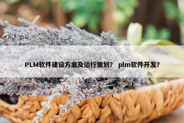 PLM软件建设方案及运行策划？ plm软件开发？