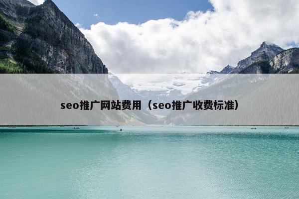 seo推广网站费用（seo推广收费标准）