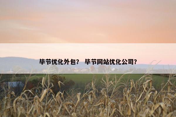 毕节优化外包？ 毕节网站优化公司？