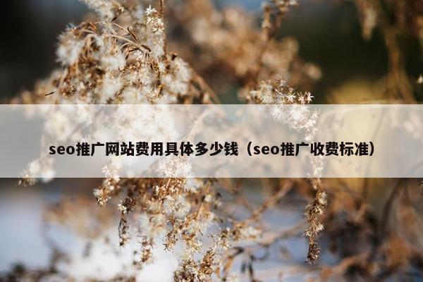 seo推广网站费用具体多少钱（seo推广收费标准）