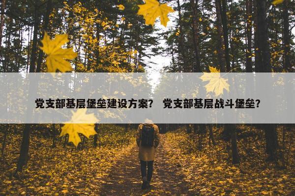 党支部基层堡垒建设方案？ 党支部基层战斗堡垒？