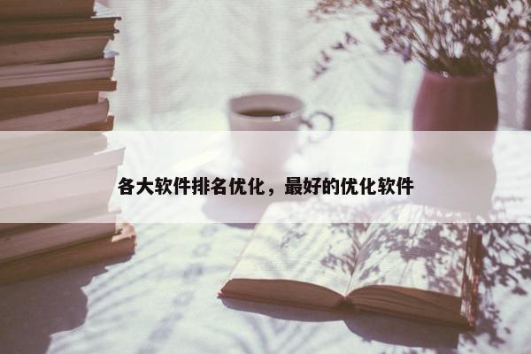 各大软件排名优化，最好的优化软件