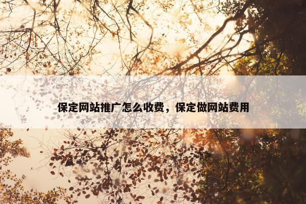 保定网站推广怎么收费，保定做网站费用