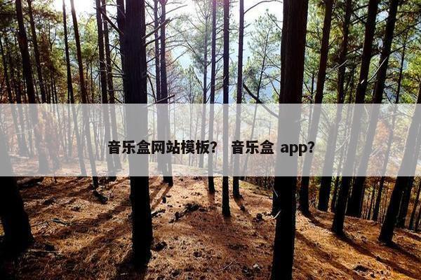 音乐盒网站模板？ 音乐盒 app？