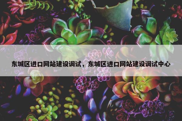 东城区进口网站建设调试，东城区进口网站建设调试中心