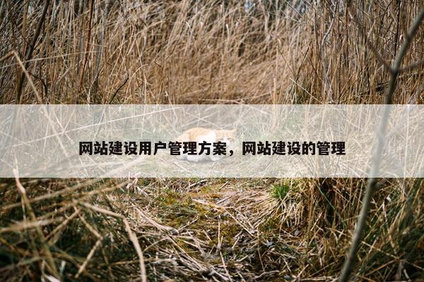 网站建设用户管理方案，网站建设的管理