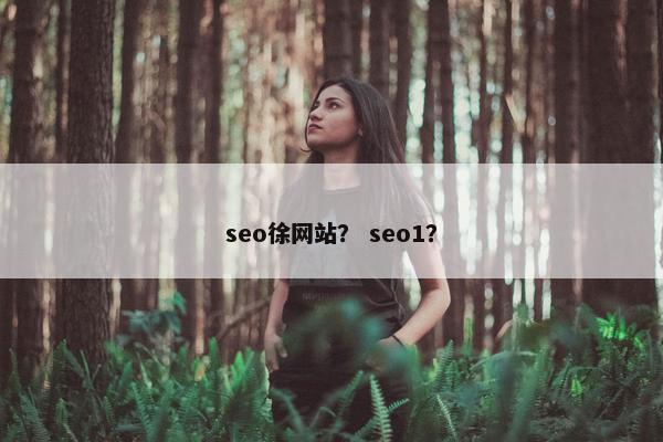 seo徐网站？ seo1？