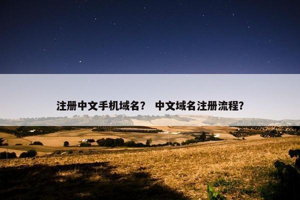 注册中文手机域名？ 中文域名注册流程？