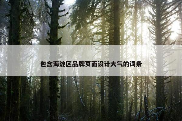 包含海淀区品牌页面设计大气的词条