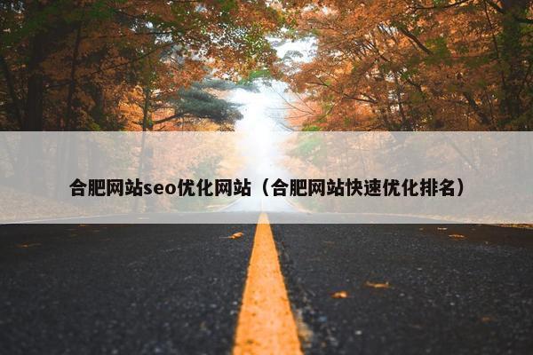 合肥网站seo优化网站（合肥网站快速优化排名）