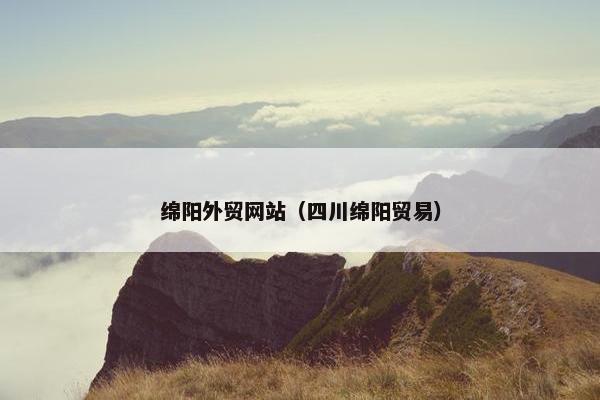 绵阳外贸网站（四川绵阳贸易）
