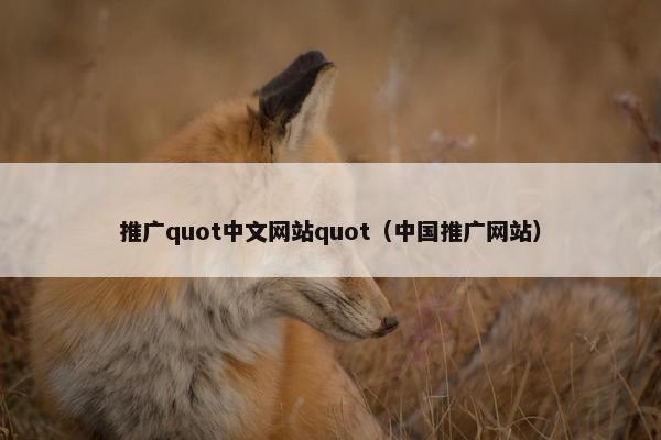 推广quot中文网站quot（中国推广网站）