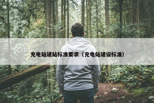 充电站建站标准要求（充电站建设标准）