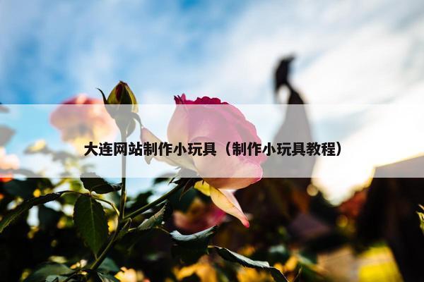 大连网站制作小玩具（制作小玩具教程）