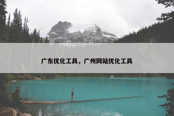 广东优化工具，广州网站优化工具