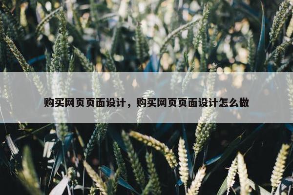 购买网页页面设计，购买网页页面设计怎么做