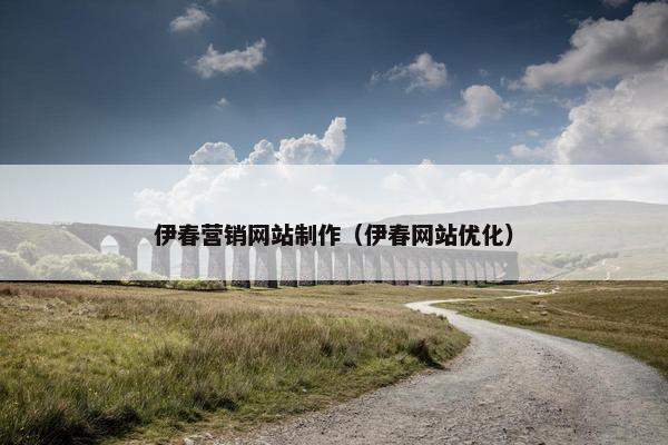 伊春营销网站制作（伊春网站优化）