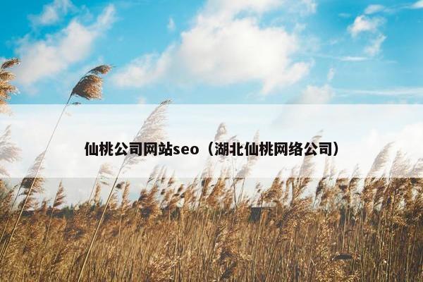 仙桃公司网站seo（湖北仙桃网络公司）