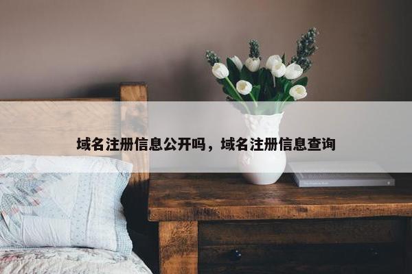 域名注册信息公开吗，域名注册信息查询