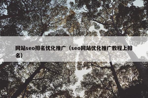 网站seo排名优化推广（seo网站优化推广教程上排名）