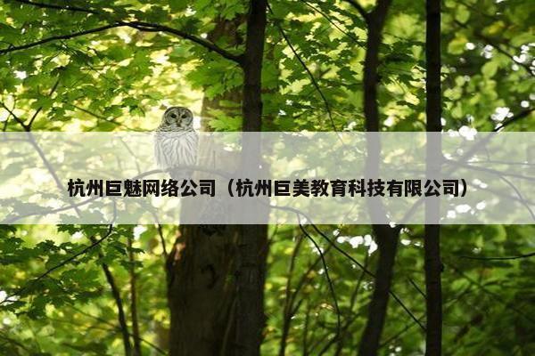 杭州巨魅网络公司（杭州巨美教育科技有限公司）