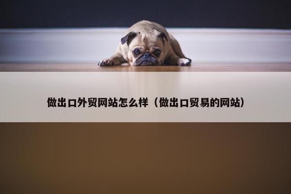 做出口外贸网站怎么样（做出口贸易的网站）