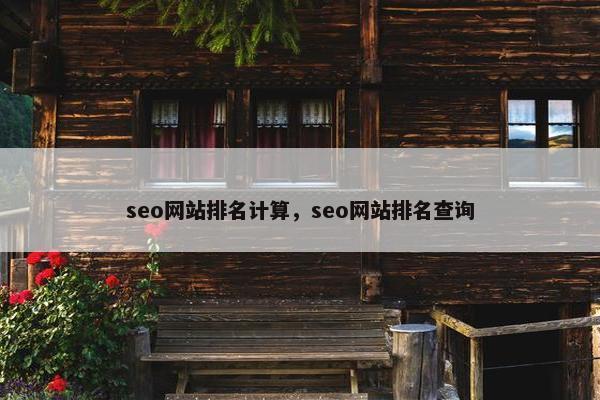 seo网站排名计算，seo网站排名查询