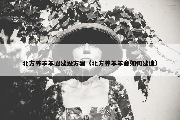 北方养羊羊圈建设方案（北方养羊羊舍如何建造）