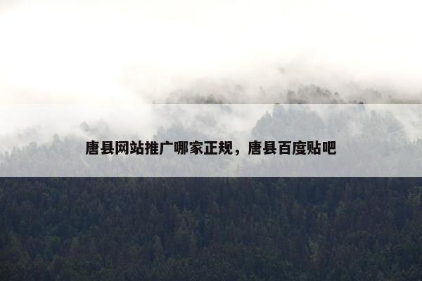唐县网站推广哪家正规，唐县百度贴吧