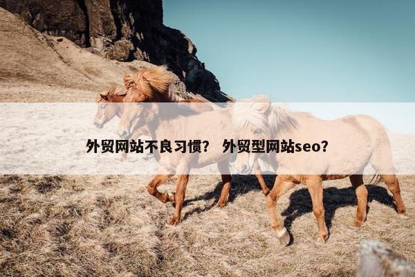 外贸网站不良习惯？ 外贸型网站seo？