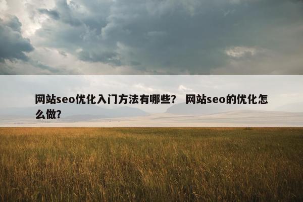 网站seo优化入门方法有哪些？ 网站seo的优化怎么做？