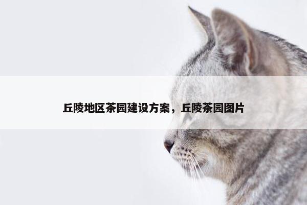 丘陵地区茶园建设方案，丘陵茶园图片