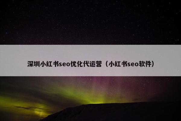 深圳小红书seo优化代运营（小红书seo软件）