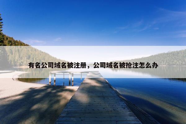 有名公司域名被注册，公司域名被抢注怎么办