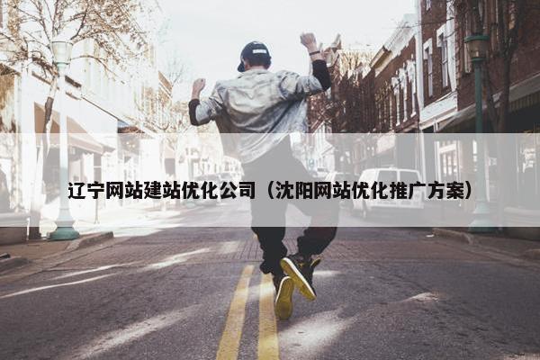 辽宁网站建站优化公司（沈阳网站优化推广方案）