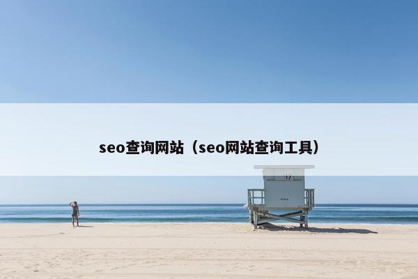 seo查询网站（seo网站查询工具）
