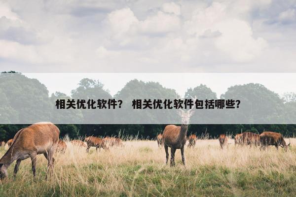 相关优化软件？ 相关优化软件包括哪些？