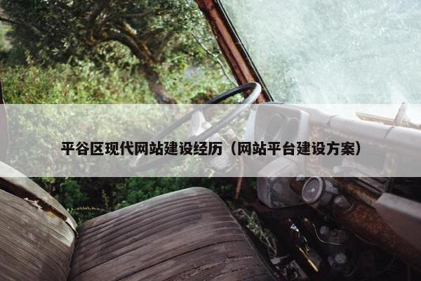 平谷区现代网站建设经历（网站平台建设方案）