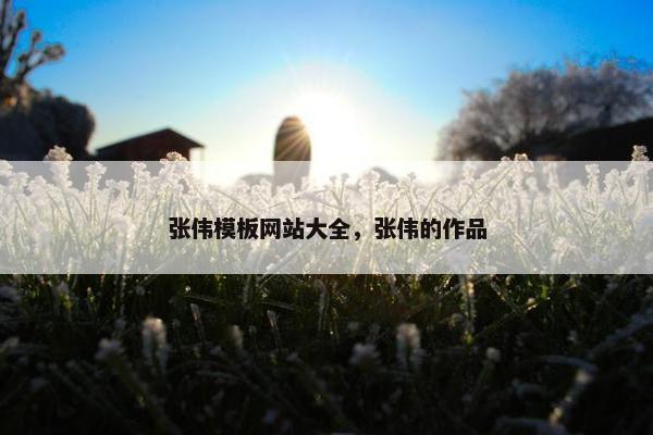 张伟模板网站大全，张伟的作品