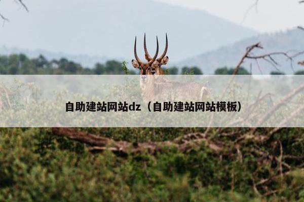 自助建站网站dz（自助建站网站模板）