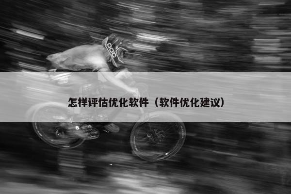 怎样评估优化软件（软件优化建议）