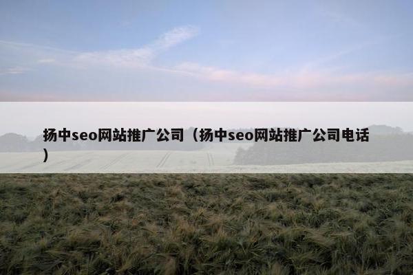 扬中seo网站推广公司（扬中seo网站推广公司电话）