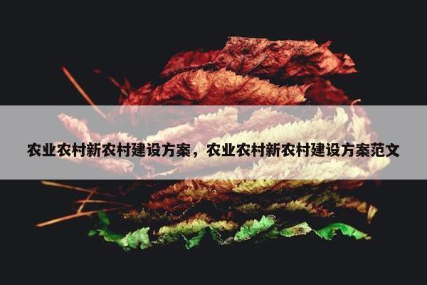 农业农村新农村建设方案，农业农村新农村建设方案范文