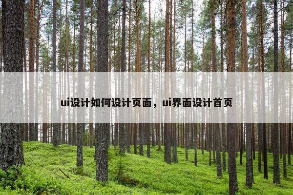 ui设计如何设计页面，ui界面设计首页