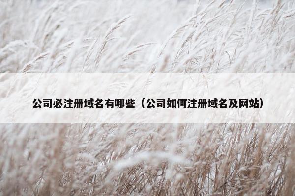 公司必注册域名有哪些（公司如何注册域名及网站）