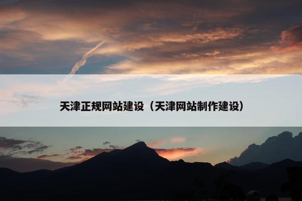 天津正规网站建设（天津网站制作建设）