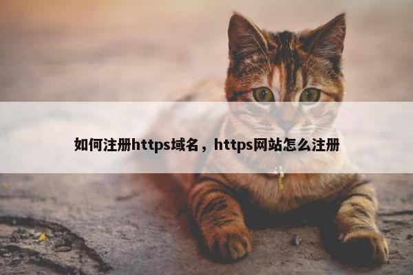 如何注册https域名，https网站怎么注册