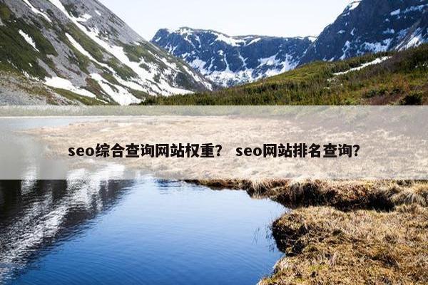 seo综合查询网站权重？ seo网站排名查询？