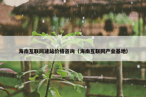 海南互联网建站价格咨询（海南互联网产业基地）
